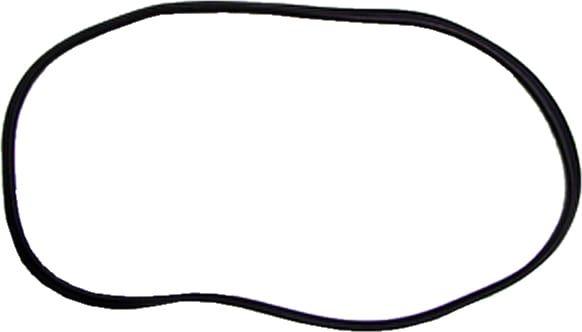 REAR HATCH GLASS SEAL | BLAZER | 69-72